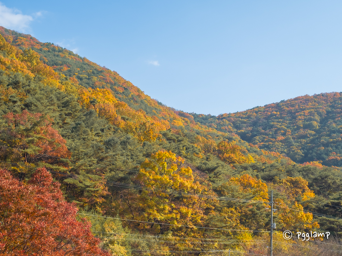 팔공산 글램핑 풍경